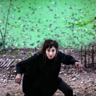 bois du Wilder (Bruxelles)